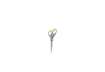 Immagine di Forbici Westcott Softgrip Titanium Super simmetrica giallo/grigio lama 18 cm E-30470 00
