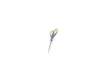 Immagine di Forbici Westcott Softgrip Titanium Super simmetrica giallo/grigio lama 18 cm E-30470 00