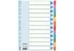 Immagine di Divisori Esselte intercalari 12 tasti cartoncino 160 gr/mq A4 100194