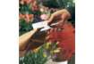 Immagine di Cucitrice a pinza Rapid K1 Classic 50 fogli cromo 10510601