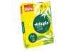 Immagine di Carta colorata A4 Sylvamo Rey Adagio 80 g/m² giallo intenso 66 - Risma da 500 fogli - ADAGI080X636