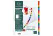 Immagine di Intercalari stampati in digitale Exacompta Protect'o cartoncino A4 160g/mq 20 tasti AZ - 1111E