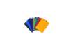 Immagine di Portalistini Exacompta LINEA OPACO 8 colori assortiti ppl A4 40 buste 8540E