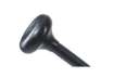 Immagine di Appendiabiti MAULnubi nero h 176 cm - 20 ganci Z860003