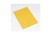 Immagine di Quaderno Pigna Maxi Monocromo Green 42 ff 80 gr - A4 rigatura OQ - copertine assortite - conf. 10 pe