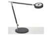 Immagine di Lampada da scrivania a LED Maul MAULgrace - colour vario - con dimmer - nero - Z800073