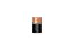 Immagine di Batteria alcaline Duracell Plus100 Torcia D - MN1300 - blister da 2  - DU0401