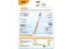 Immagine di Penna a sfera a scatto BIC 4 Colours 1 mm - fusto Wood Effect 508964