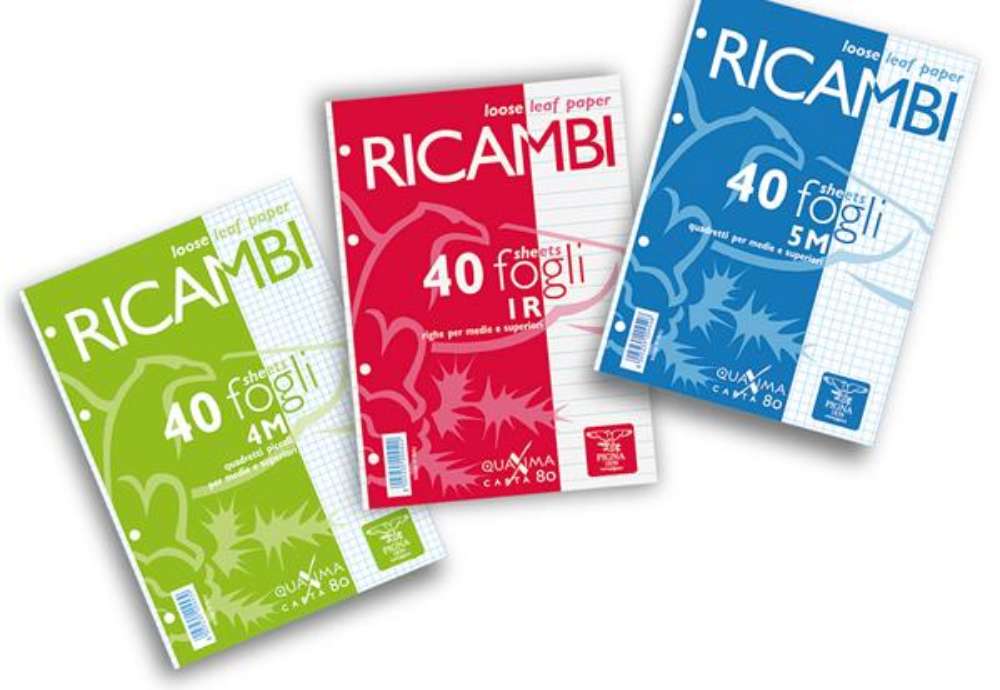 Immagine di Ricambi forati Quaxima - A4 - 10 mm - 80 gr - Pigna - conf. 40 pezzi