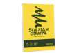 Immagine di Blocco Schizza & Strappa - A5 - 150 x 210mm - 50gr - 150 fogli - Favini