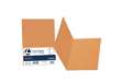 Immagine di Cartellina semplice Luce - 200 gr - A4 - arancio - cartoncino bristol - Favini - conf. 50 pezzi