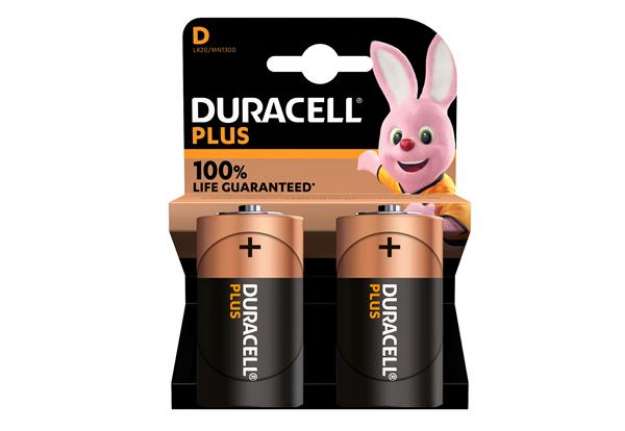 Immagine di Pila Torcia D Plus100 - MN1300 - Duracell - blister 2 pezzi
