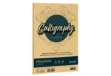 Immagine di Carta Calligraphy Pergamena - A4 - 90 gr - oro 03 - Favini - conf. 50 fogli
