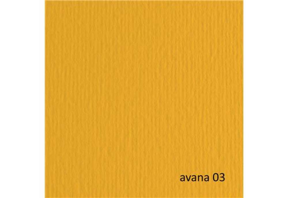 Immagine di Cartoncino Elle Erre - 70 x 100 cm - 220 gr - avana 103 - Fabriano - blister 10 fogli