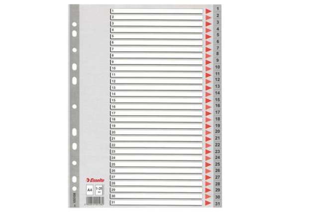 Immagine di Separatore numerico 1/31 - PPL - A4 - grigio - Esselte