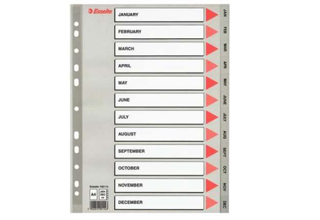 Immagine di Separatore mensile Gen/Dic - PPL - A4 - grigio - Esselte
