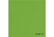 Immagine di Cartoncino Elle Erre - 50x70cm - 220gr - verde 111 - Fabriano -  blister 20 fogli