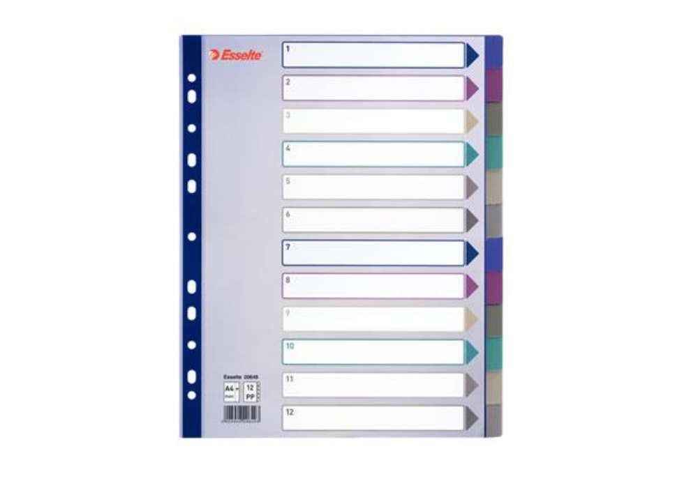 Immagine di Separatore - 12 tasti - PP traslucido - A4 maxi - 24,5x29,7 cm - multicolore - Esselte