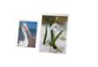 Immagine di Portadepliant A4 - PVC semirigido - Lebez