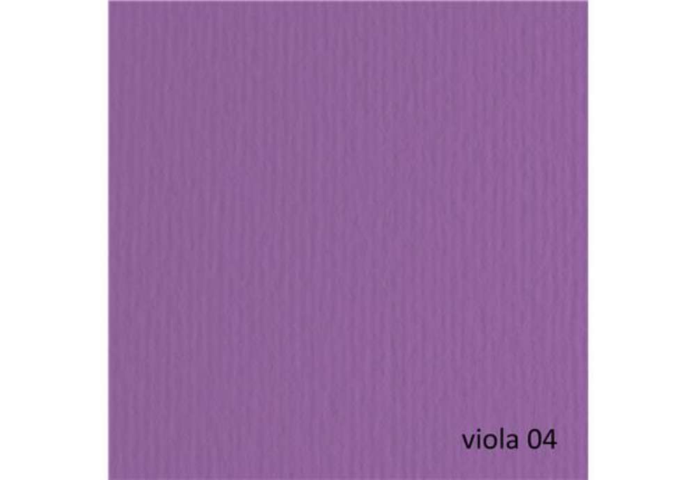 Immagine di Cartoncino Elle Erre - 50 x 70 cm - 220 gr - viola 104 - Fabriano - blister 20 fogli