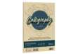 Immagine di Carta Calligraphy Pergamena - A4 - 190 gr - crema 05 - Favini - conf. 50 fogli
