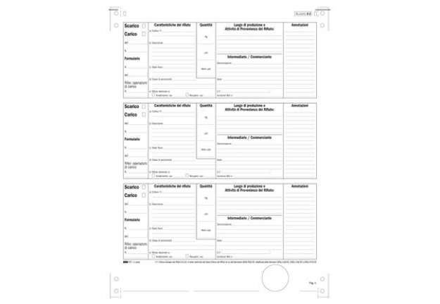 Immagine di Modulo continuo carico/scarico rifiuti detentori (Mod. A) - 12"x 24 - 250 fogli - Edipro