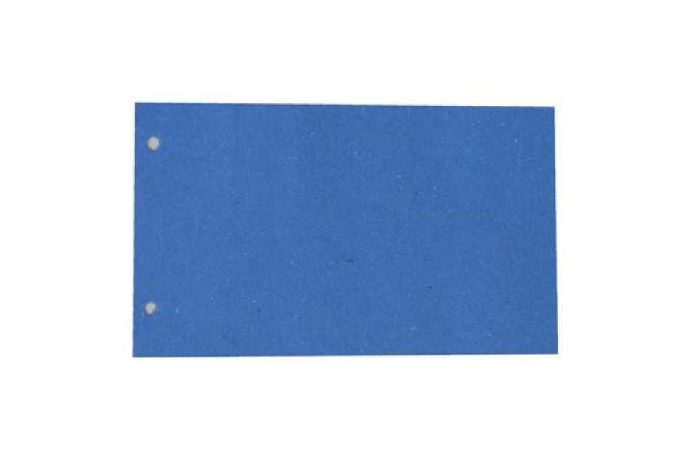 Immagine di Separatori - cartoncino Manilla 200 gr - 12,5 x 23 cm - azzurro - Cartotecnica del Garda - conf. 200