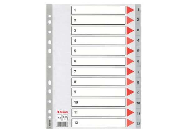 Immagine di Separatore numerico 1/12 - PPL - A4 - 22,5x29,7 cm - grigio - Esselte
