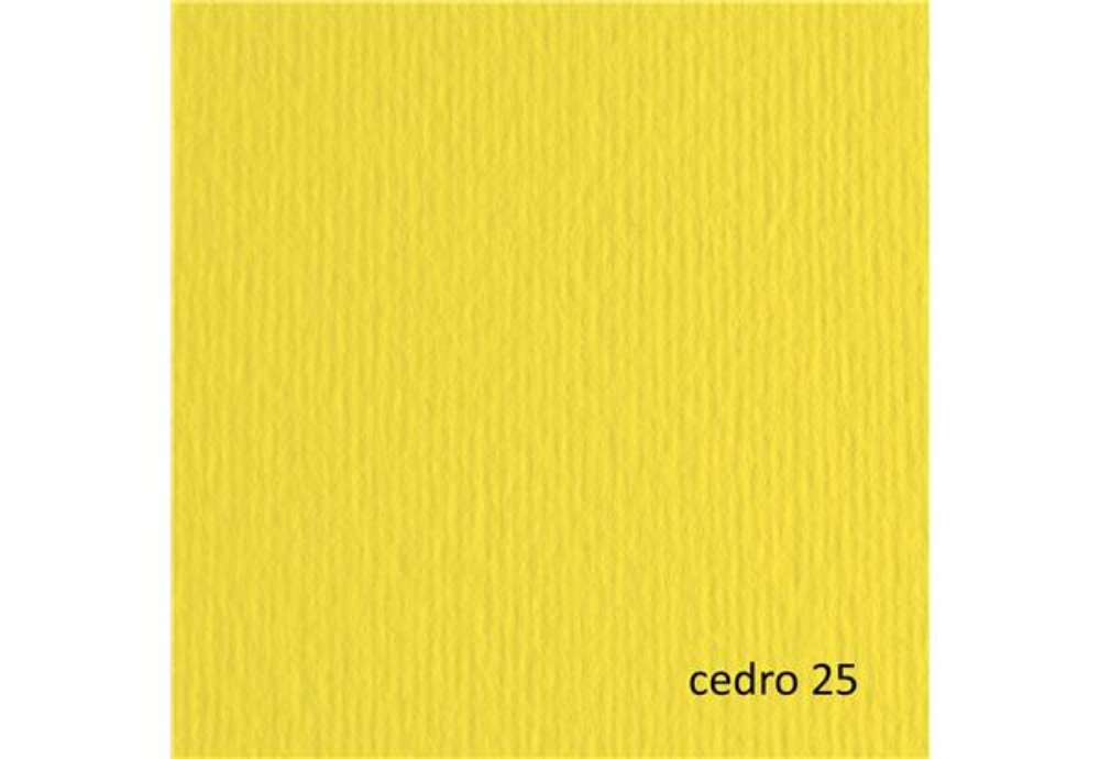 Immagine di Cartoncino Elle Erre - 70 x 100 cm - 220 gr - cedro 125 - Fabriano - blister 10 fogli