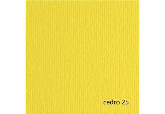 Immagine di Cartoncino Elle Erre - 70x100cm - 220gr - cedro 125 - Fabriano - blister 10 fogli
