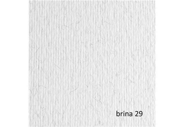Immagine di Cartoncino Elle Erre - 50x70cm - 220gr - brina 29 - Fabriano - blister 20 fogli
