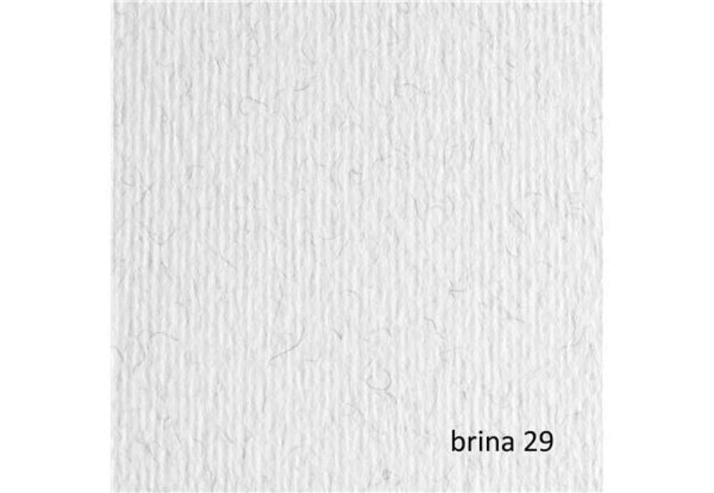 Immagine di Cartoncino Elle Erre - 70 x 100 cm - 220 gr - brina 129 - Fabriano - blister 10 fogli