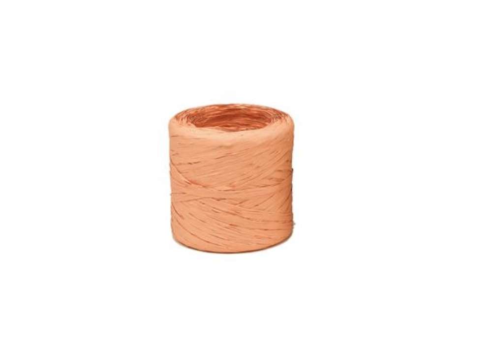Immagine di Nastro Raphia Vintage - salmone 64 - 200mt - Bolis
