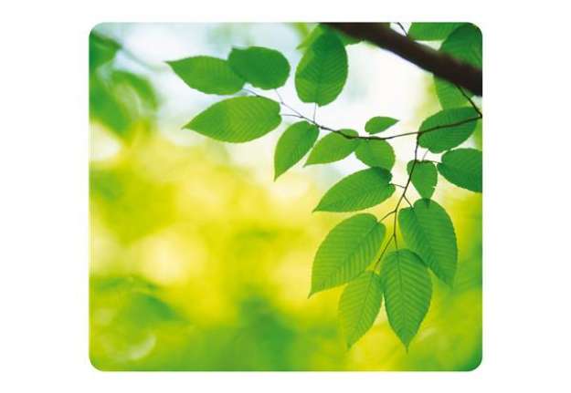 Immagine di Mousepad Earth Series - Foglie - ecologico - Fellowes