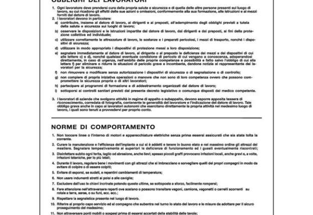 Immagine di Cartello segnalatore - 50x67 cm - NORME GENERALI PREVENZIONE INFORTUNI - polionda - Cartelli Segnala