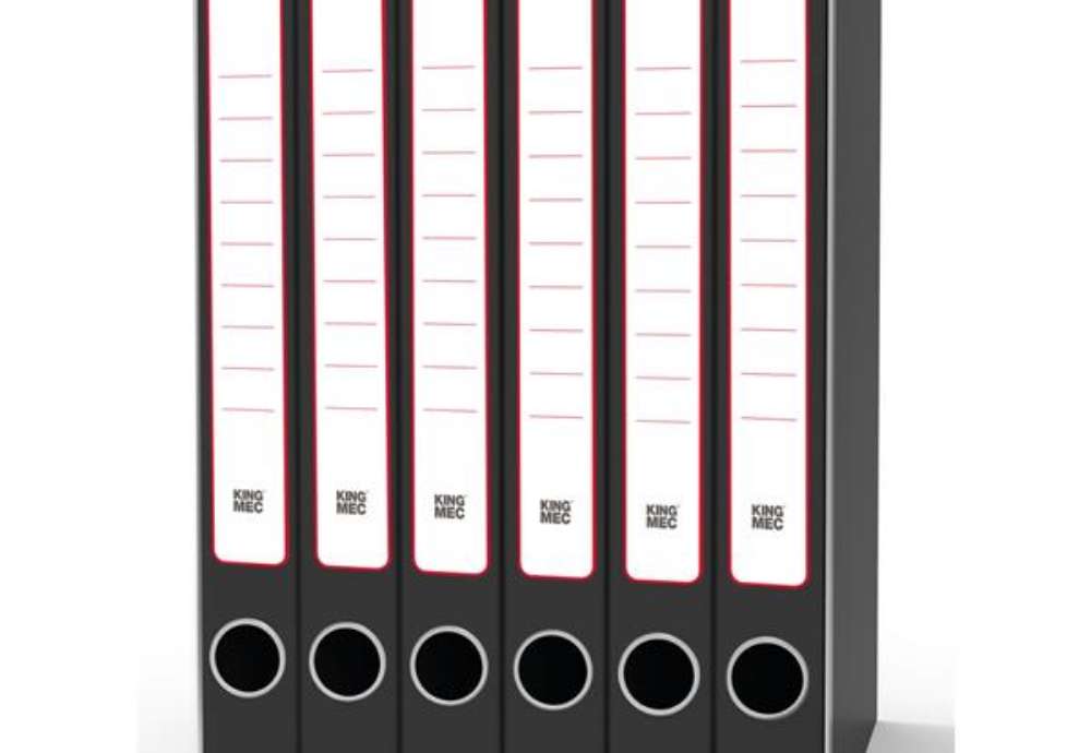 Immagine di Gruppo registratori Sestetto - 23 x 33 cm - con 6 cartelle 3 lembi - dorso 23 cm - grigio - Rexel