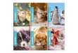 Immagine di Maxiquaderno Be More Baby - A4 - 36+2 fogli - 100gr - 5mm - BM
