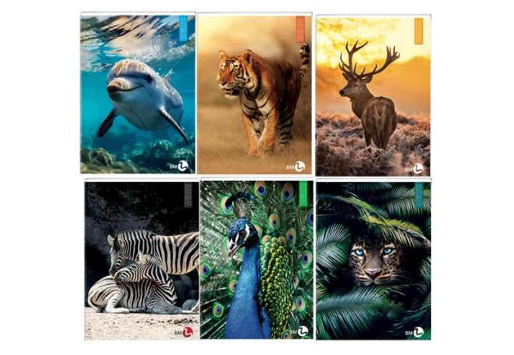 Immagine di Maxiquaderno Animal fantasia - A4 - 1 rigo c/margine - 40+2 fogli - 80gr - BM