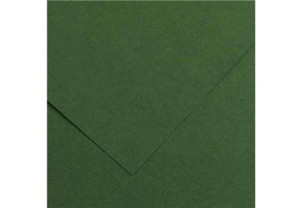 Immagine di Foglio Colorline - 70x100 cm - 220 gr - verde abete - Canson