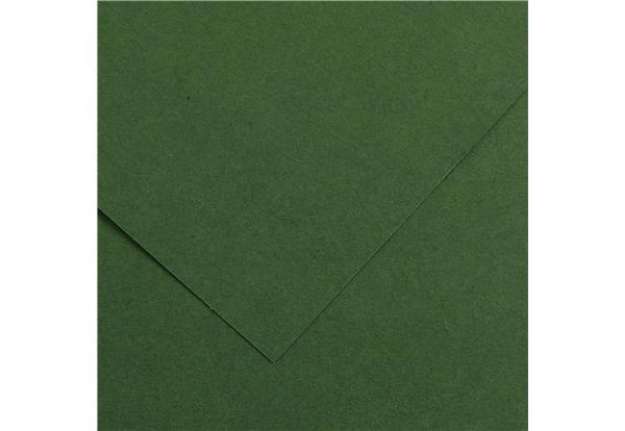 Immagine di Foglio Colorline - 70x100 cm - 220 gr - verde abete - Canson