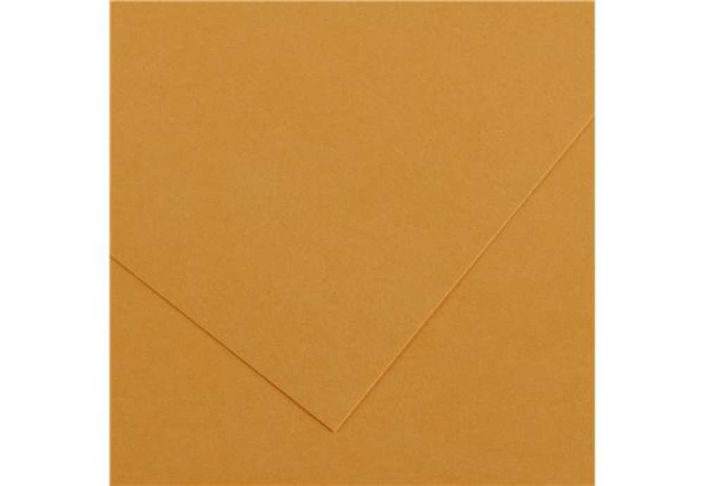 Immagine di Foglio Colorline - 70x100 cm - 220 gr - cuoio - Canson