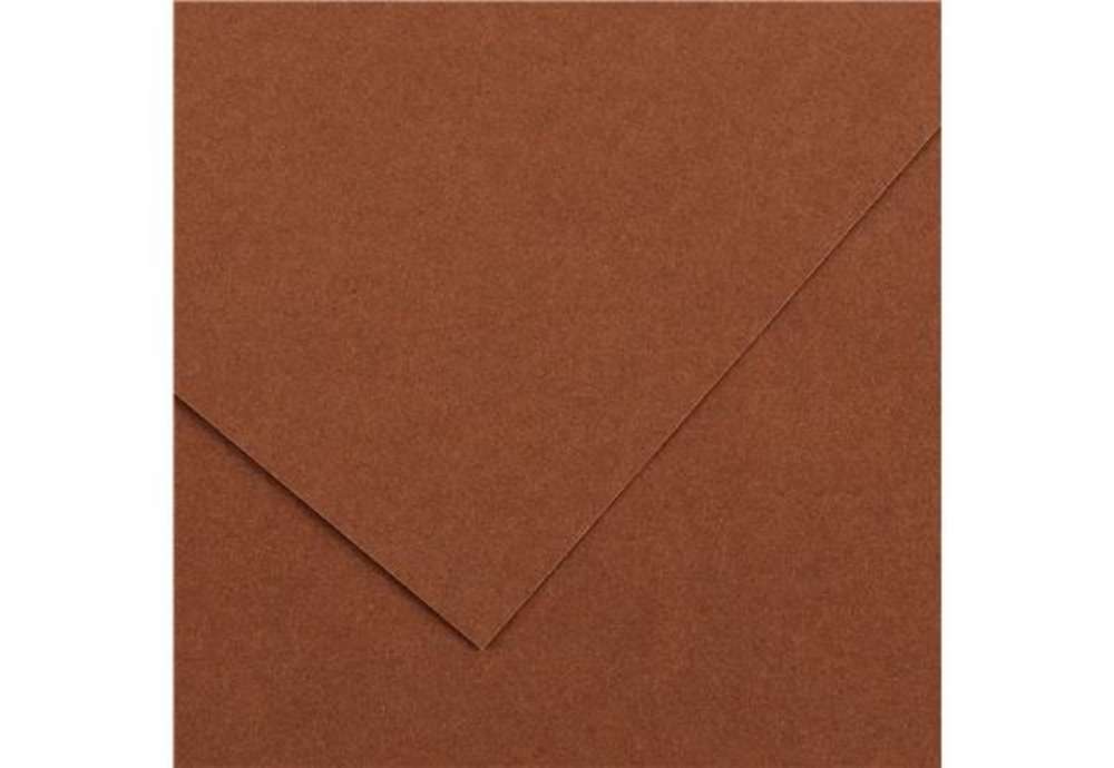 Immagine di Foglio Colorline - 70x100 cm - 220 gr - nocciola - Canson