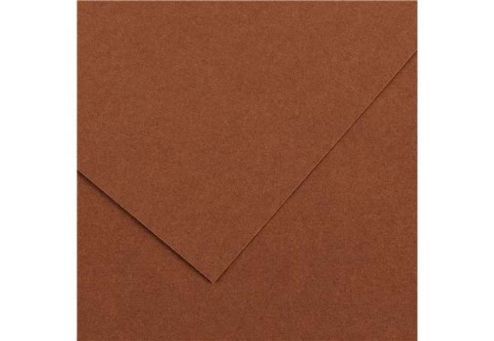 Immagine di Foglio Colorline - 70x100 cm - 220 gr - cioccolato - Canson