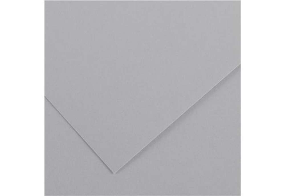 Immagine di Foglio Colorline - 70x100 cm - 220 gr - grigio chiaro - Canson