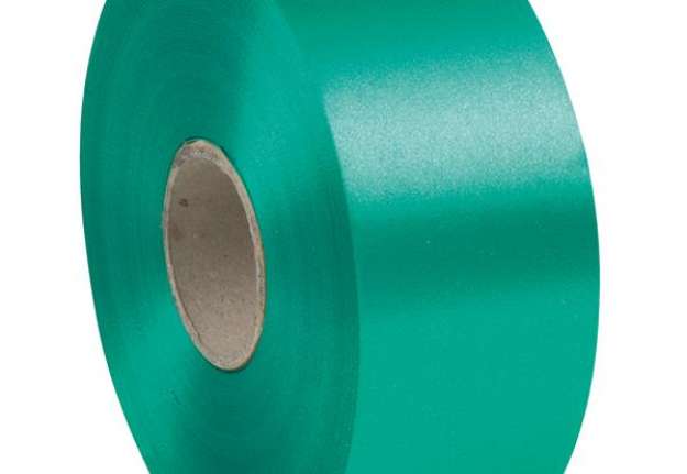 Immagine di Nastro liscio 6800 - in polipropilene - 50mmx100mt - verde bandiera 09 - Brizzolari