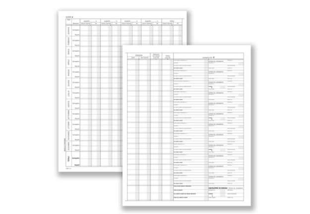 Immagine di Registro prospetto riepilogativo minori - 8 pagine - 31 x 24,5 cm - DU138510000 - Data Ufficio