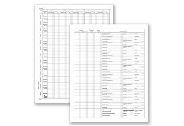 Immagine di Registro prospetto riepilogativo associazioni sportive - 8 pagine - 31 x 24,5 cm - DU13852S000 - Dat