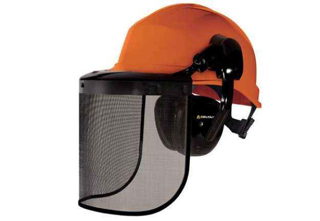 Immagine di Elmetto forestale Forestier 3 - arancio - Deltaplus