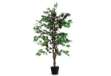 Immagine di Pianta ornamentale - ficus - H 120cm - Paperflow
