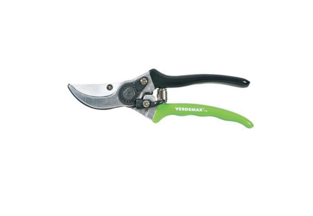 Immagine di Forbici standard By-Pass - Verdemax